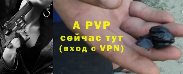 ГАЛЛЮЦИНОГЕННЫЕ ГРИБЫ Каменка