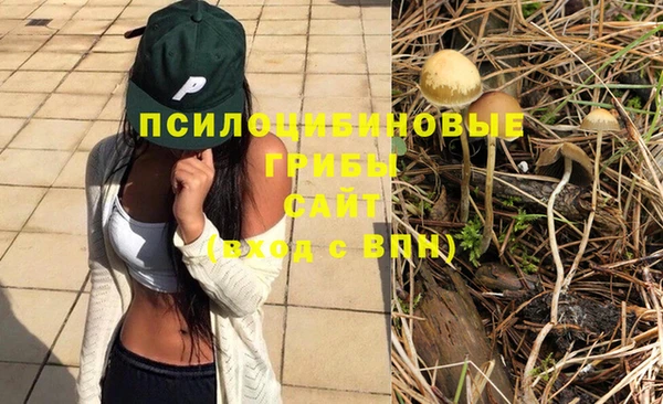 ГАЛЛЮЦИНОГЕННЫЕ ГРИБЫ Каменка