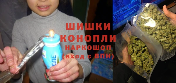 ГАЛЛЮЦИНОГЕННЫЕ ГРИБЫ Каменка